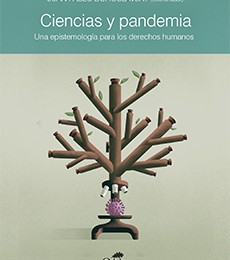 [Capítulo] Inversión en ciencia y tecnología durante la pandemia / Sara Cufré, Matías Blaunstein y Carla Poth